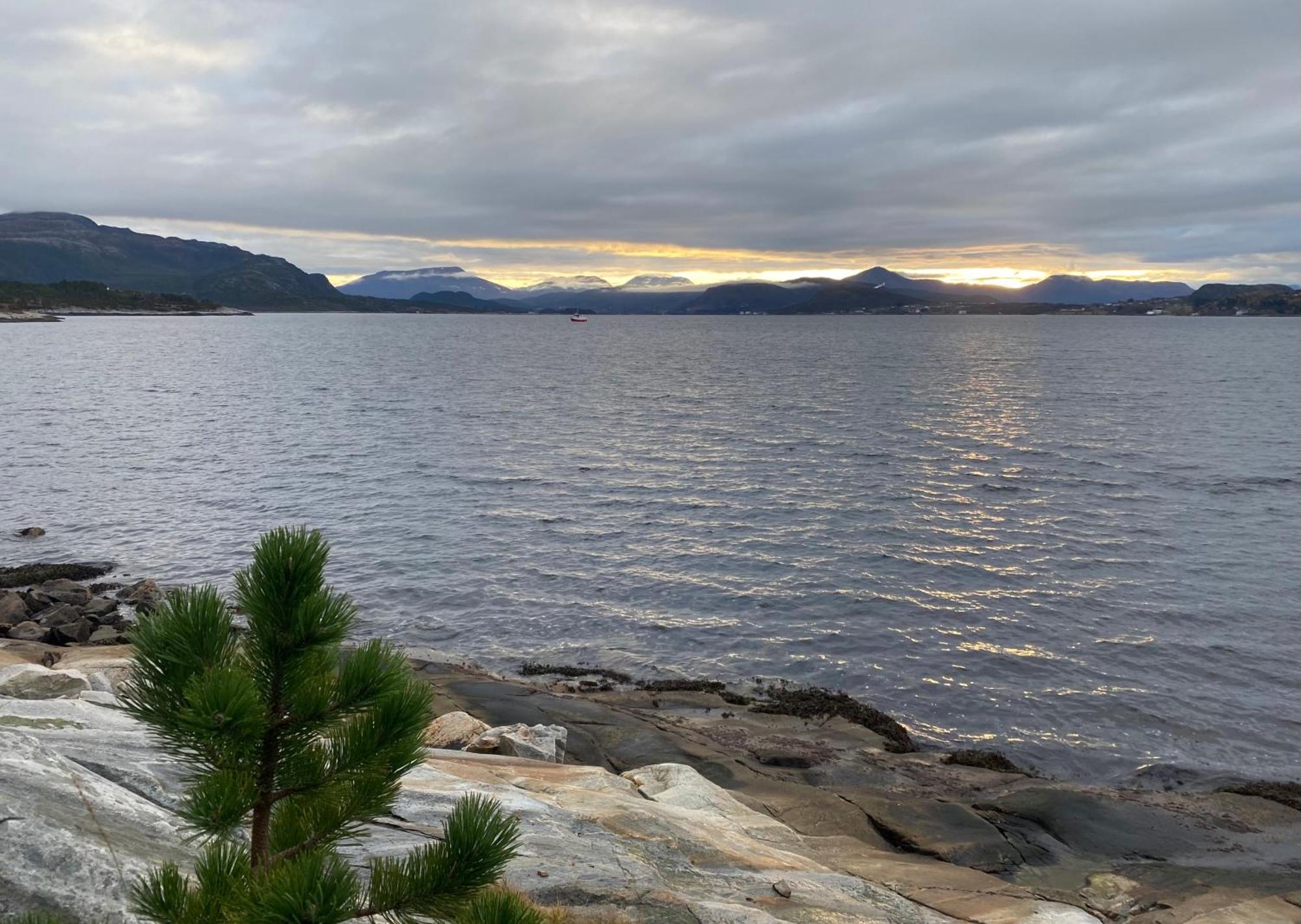 Wake Up To A Beautiful View And Smell Of The Sea Apartment Kristiansund Exterior photo